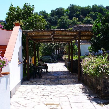 Hotel La Marticana Ischia Exteriér fotografie