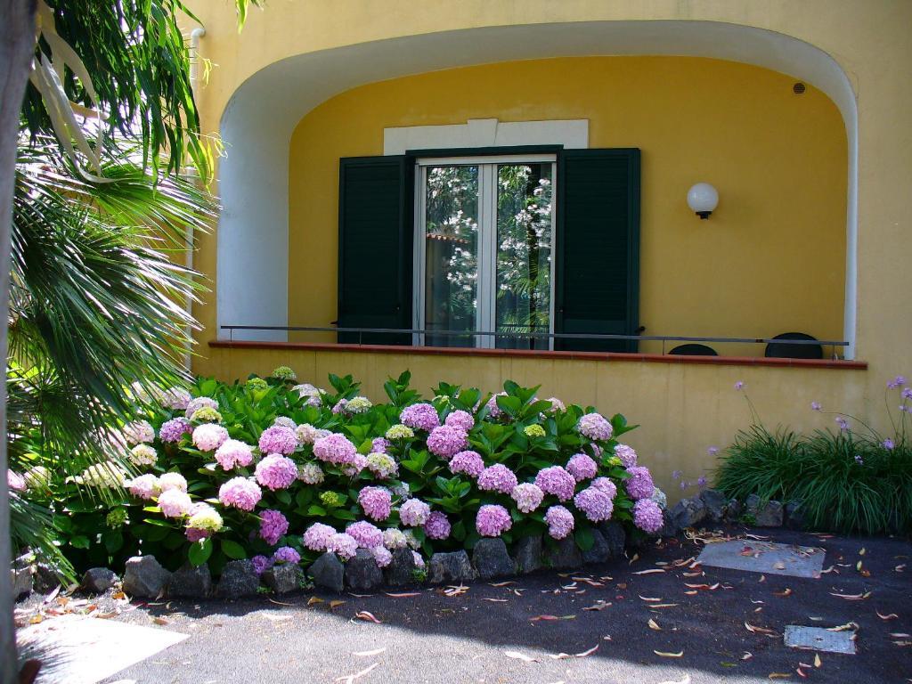 Hotel La Marticana Ischia Exteriér fotografie