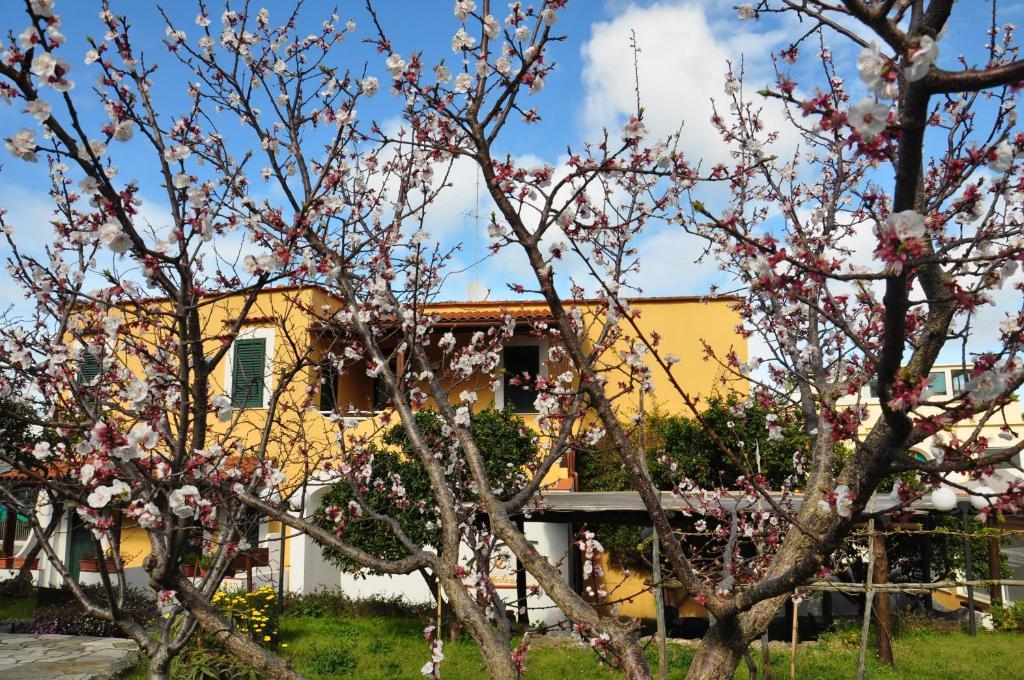 Hotel La Marticana Ischia Exteriér fotografie