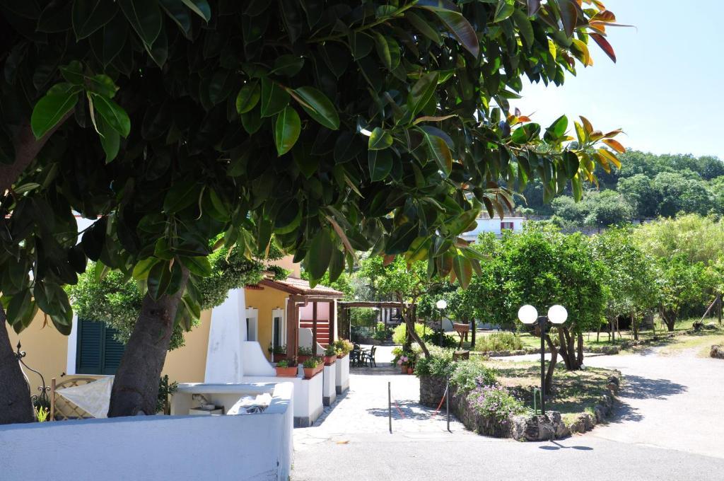 Hotel La Marticana Ischia Exteriér fotografie